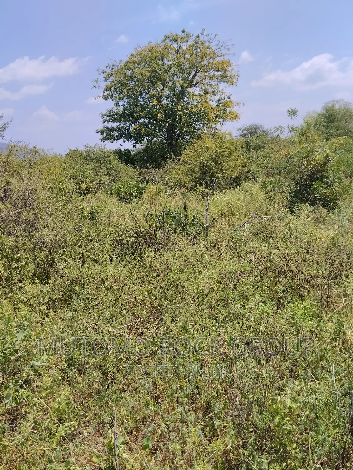 36acres for Sale