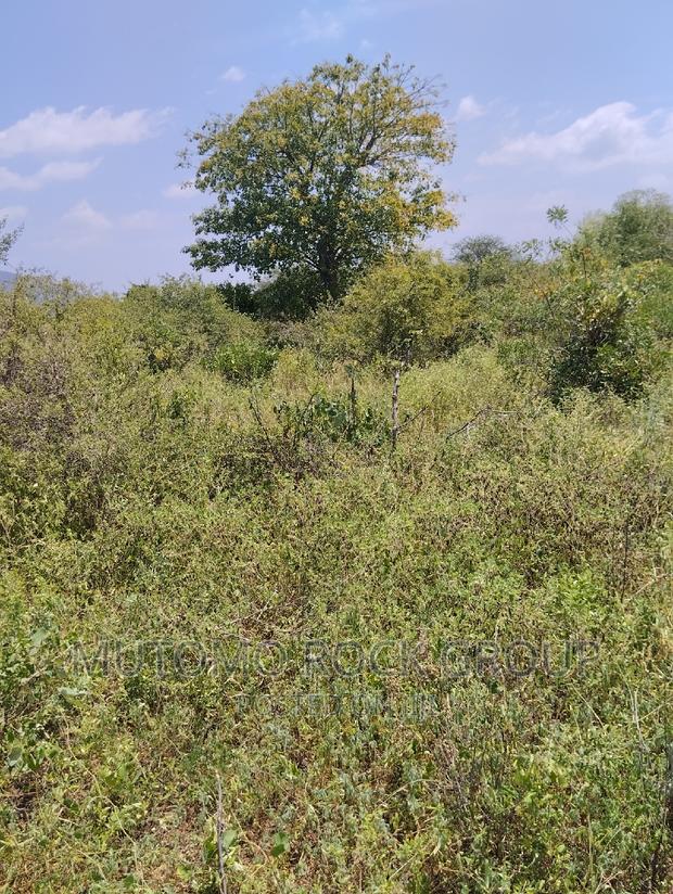 36acres for Sale - thumbnail 3