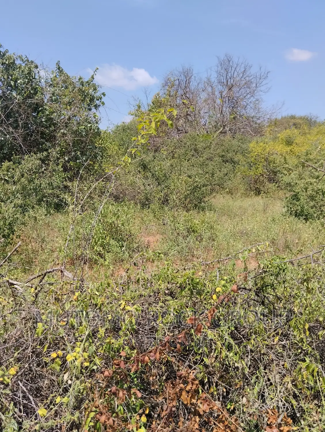 36acres for Sale