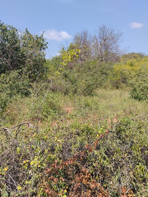 36acres for Sale - thumbnail 5