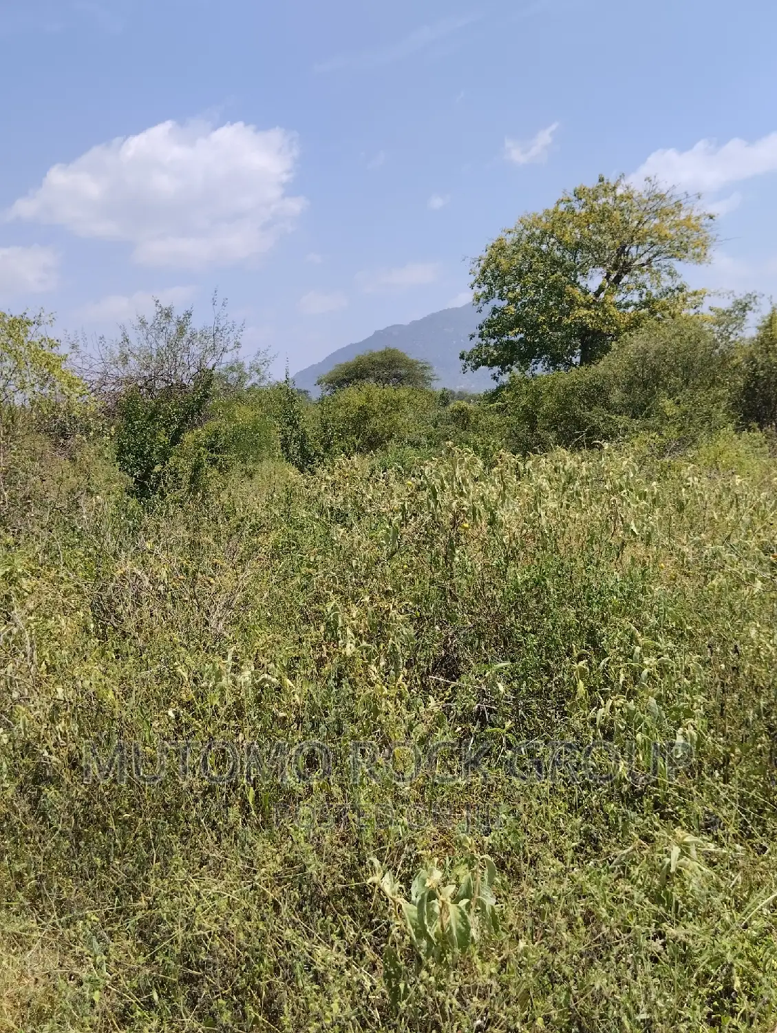 36acres for Sale