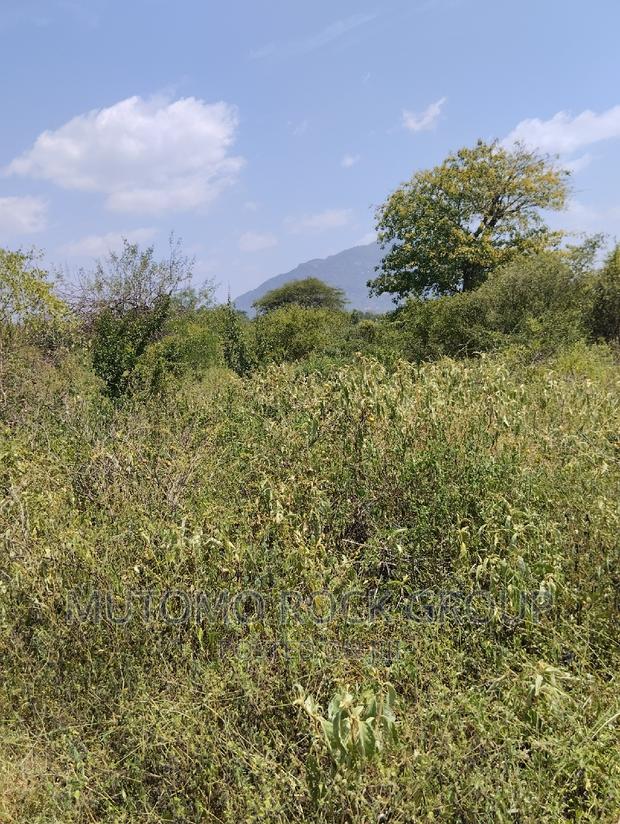 36acres for Sale - thumbnail 4