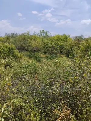 36acres for Sale
