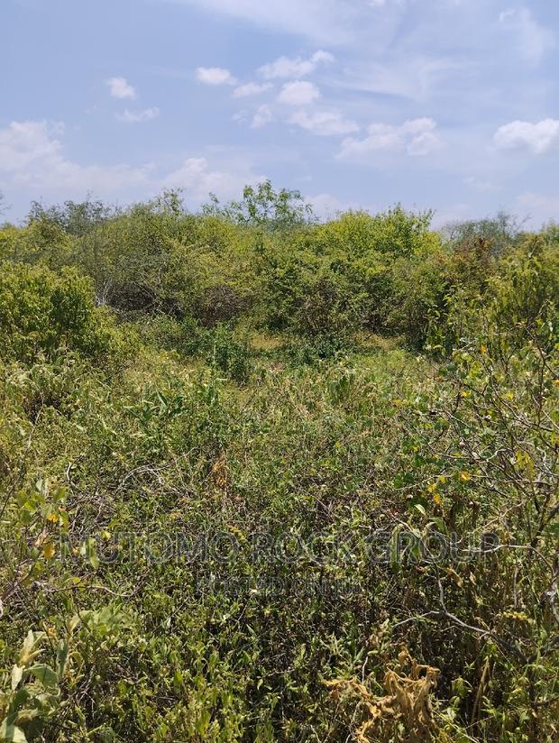 36acres for Sale - thumbnail 6