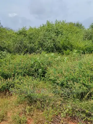 44acres for Sale