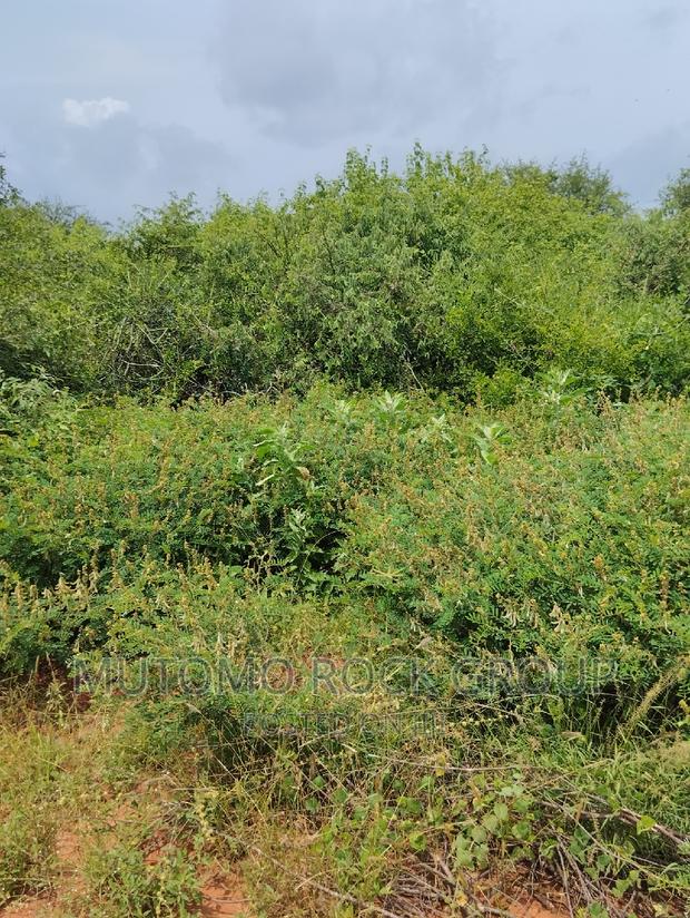 44acres for Sale - thumbnail 3