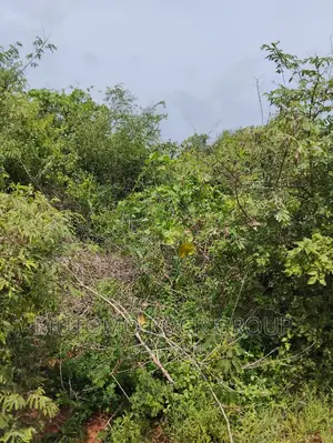 44acres for Sale
