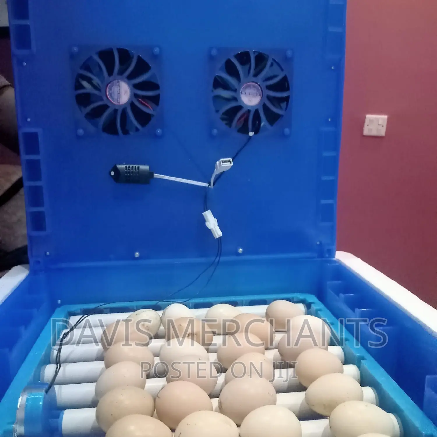 64 Eggs INCUBATOR Machine