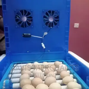 64 Eggs INCUBATOR Machine