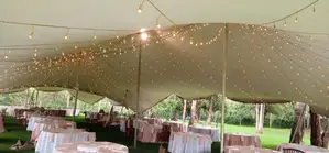 Decorative Lights