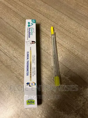 Clinical Thermometer Mercury