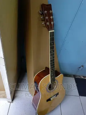 Semi Acoustic Fender Size 41 