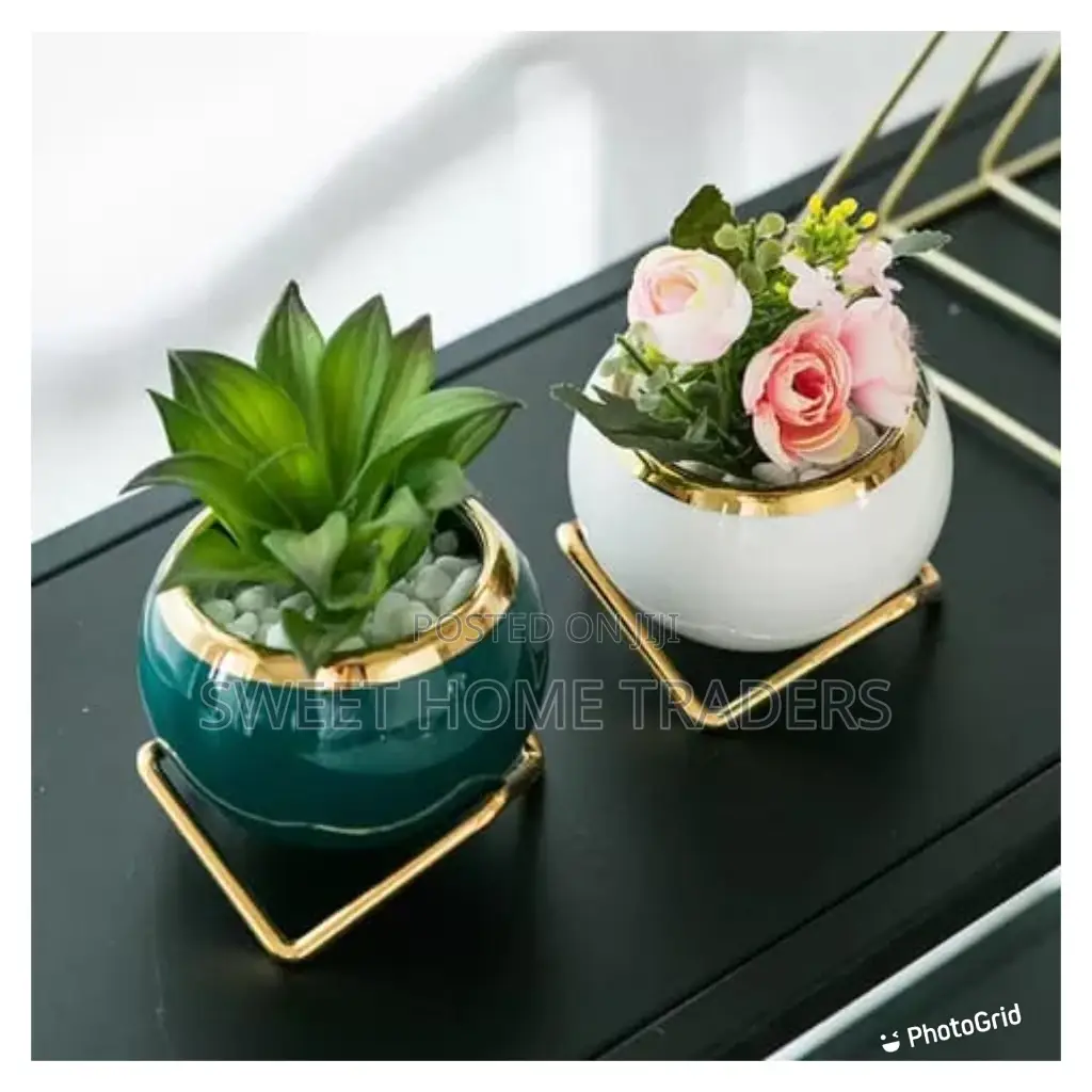 Nordic Succulent Flower Pot /Decorative With Flower.