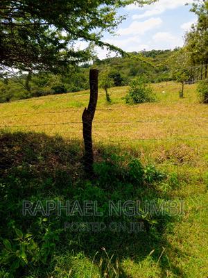 Five (5) Acres Masii - Makutano (Fenced) - thumbnail 2