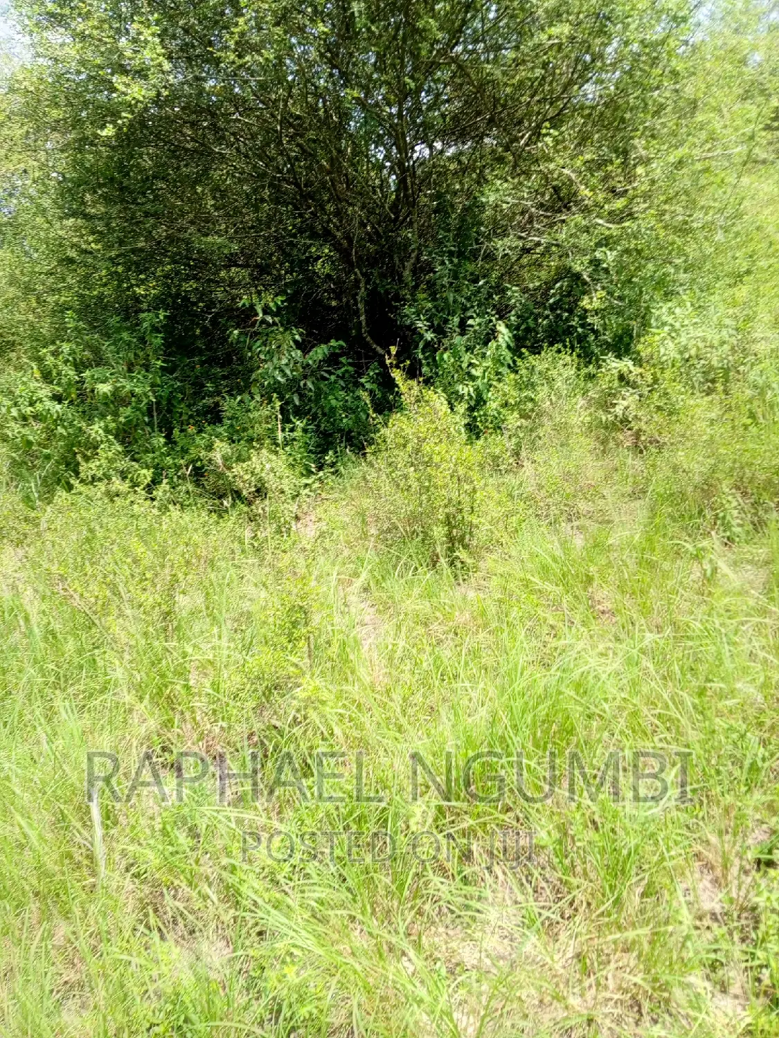 One (1) Acre at Masii - Kitooni