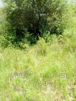 One (1) Acre at Masii - Kitooni