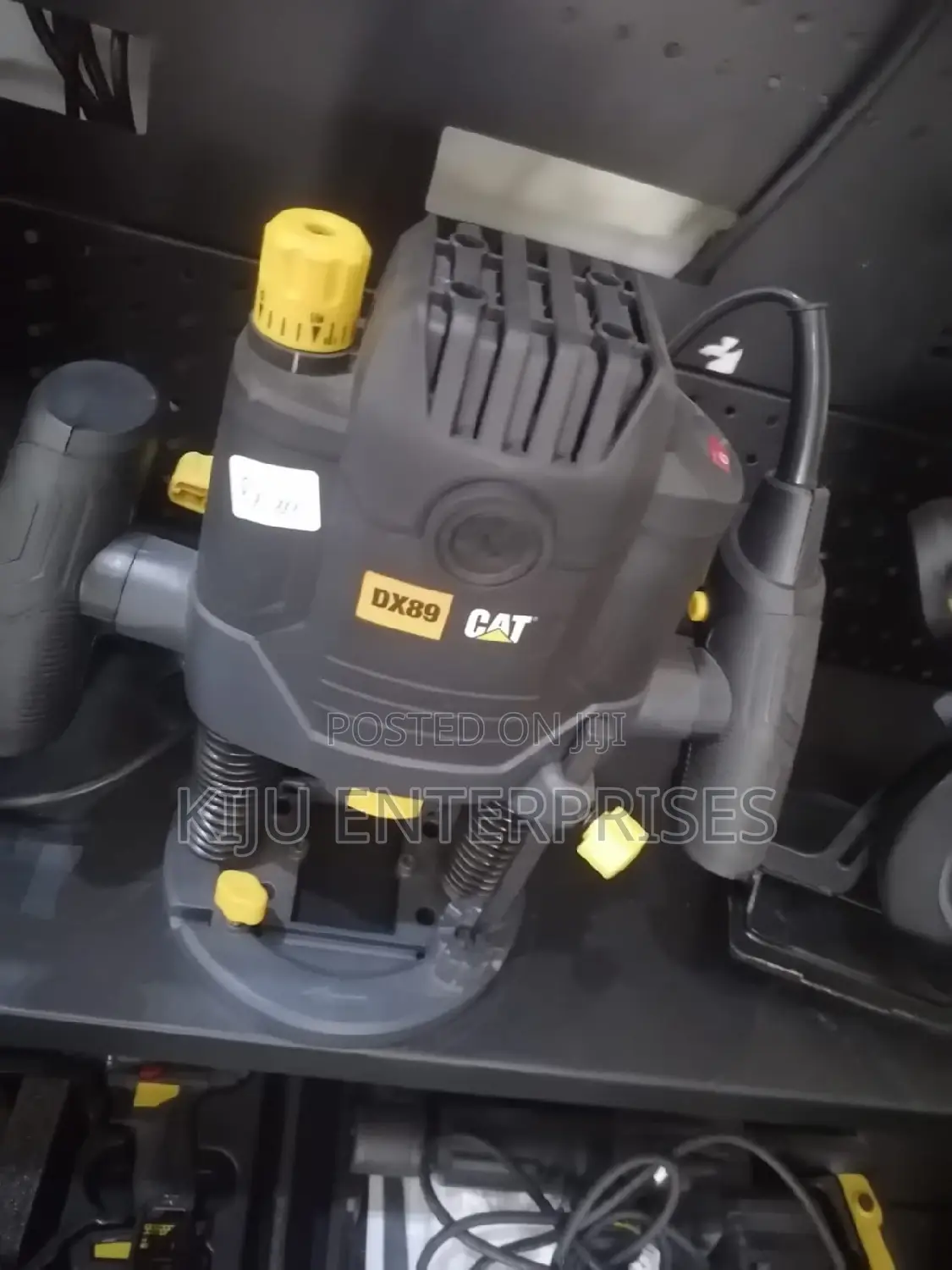 Cat Brand Router
