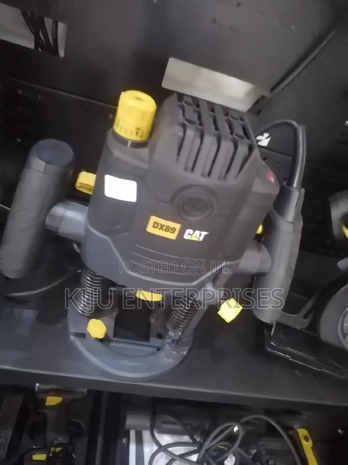 Cat Brand Router