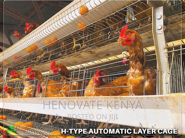 H-Type Layers Cage in Ruiru Kihunguro(Kenya)New - thumbnail 3