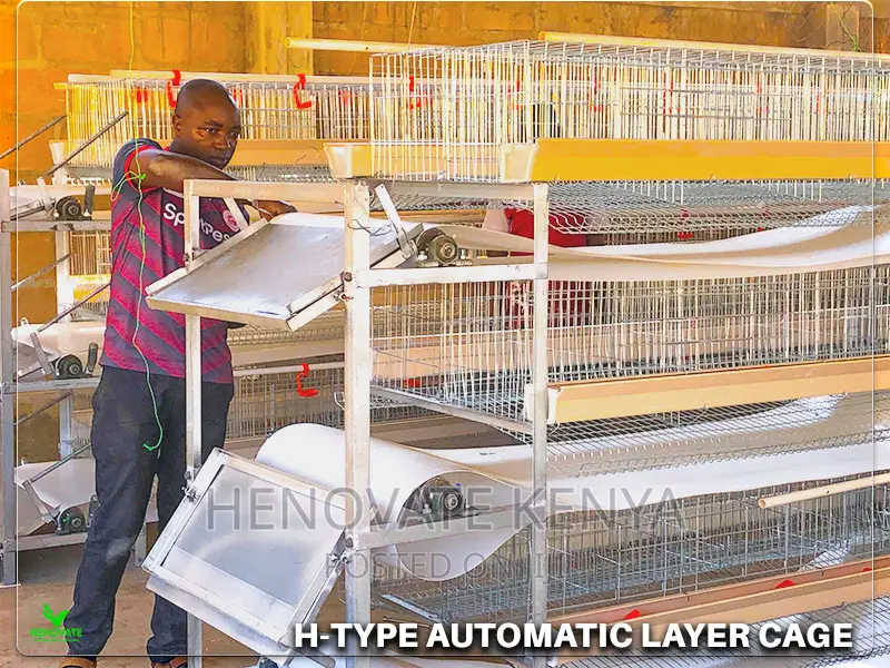 H-Type Layers Cage in Ruiru Kihunguro(Kenya)New