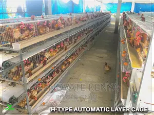 H-Type Layers Cage in Ruiru Kihunguro(Kenya)New