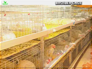 Automatic Broiler Cage Price in Kenya(Kienyeji )