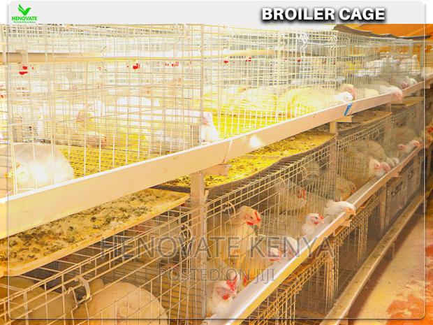 Automatic Broiler Cage Price in Kenya(Kienyeji ) - thumbnail 4