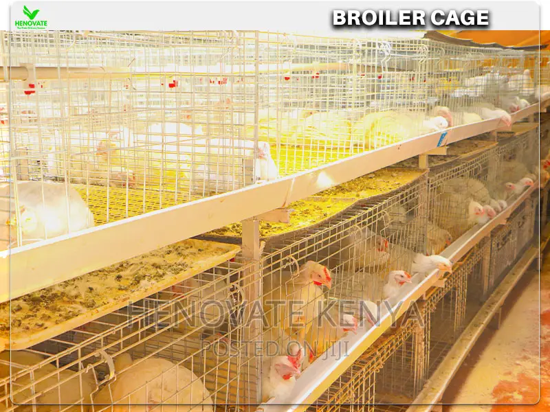 Automatic Broiler Cage Price in Kenya(Kienyeji )