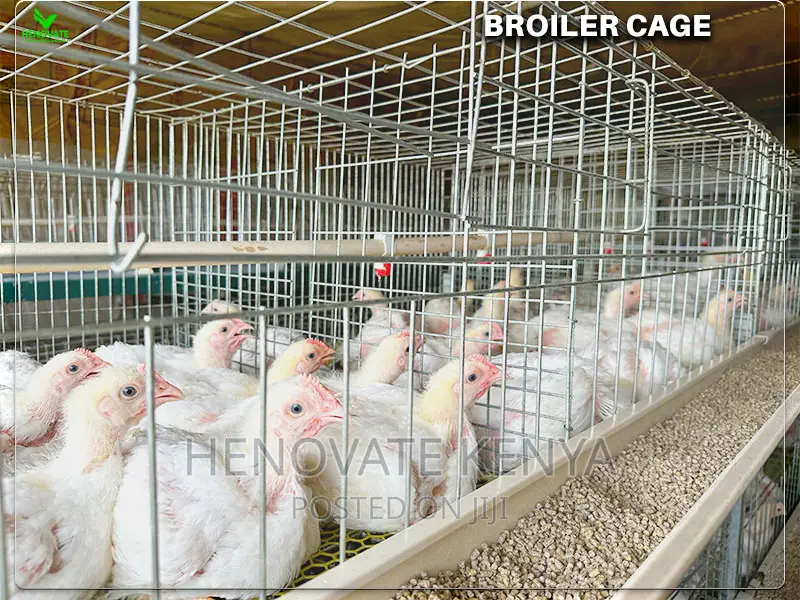 Automatic Broiler Cage Price in Kenya(Kienyeji )