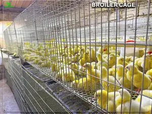 Automatic Broiler Cage Price in Kenya(Kienyeji )