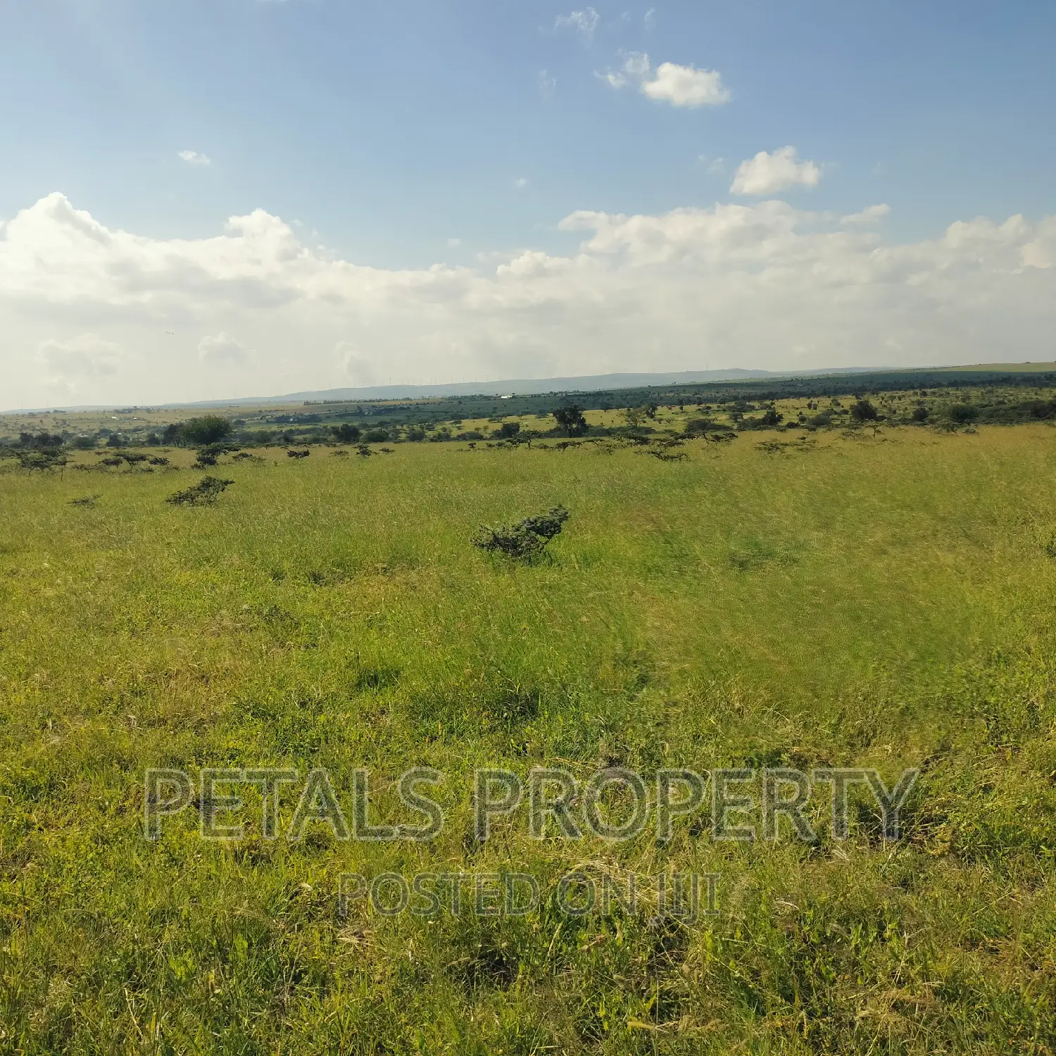 50 Acres for Sale in Kajiado