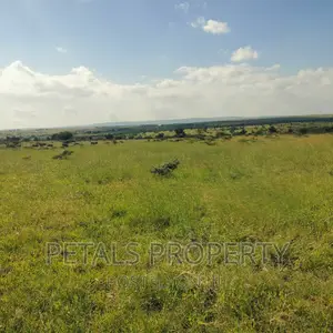50 Acres for Sale in Kajiado