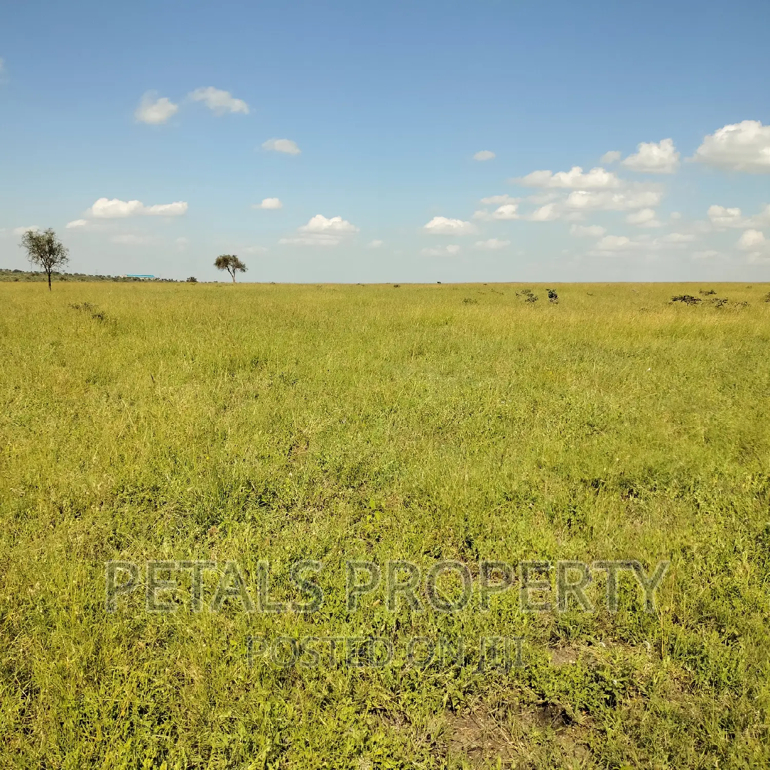 50 Acres for Sale in Kajiado