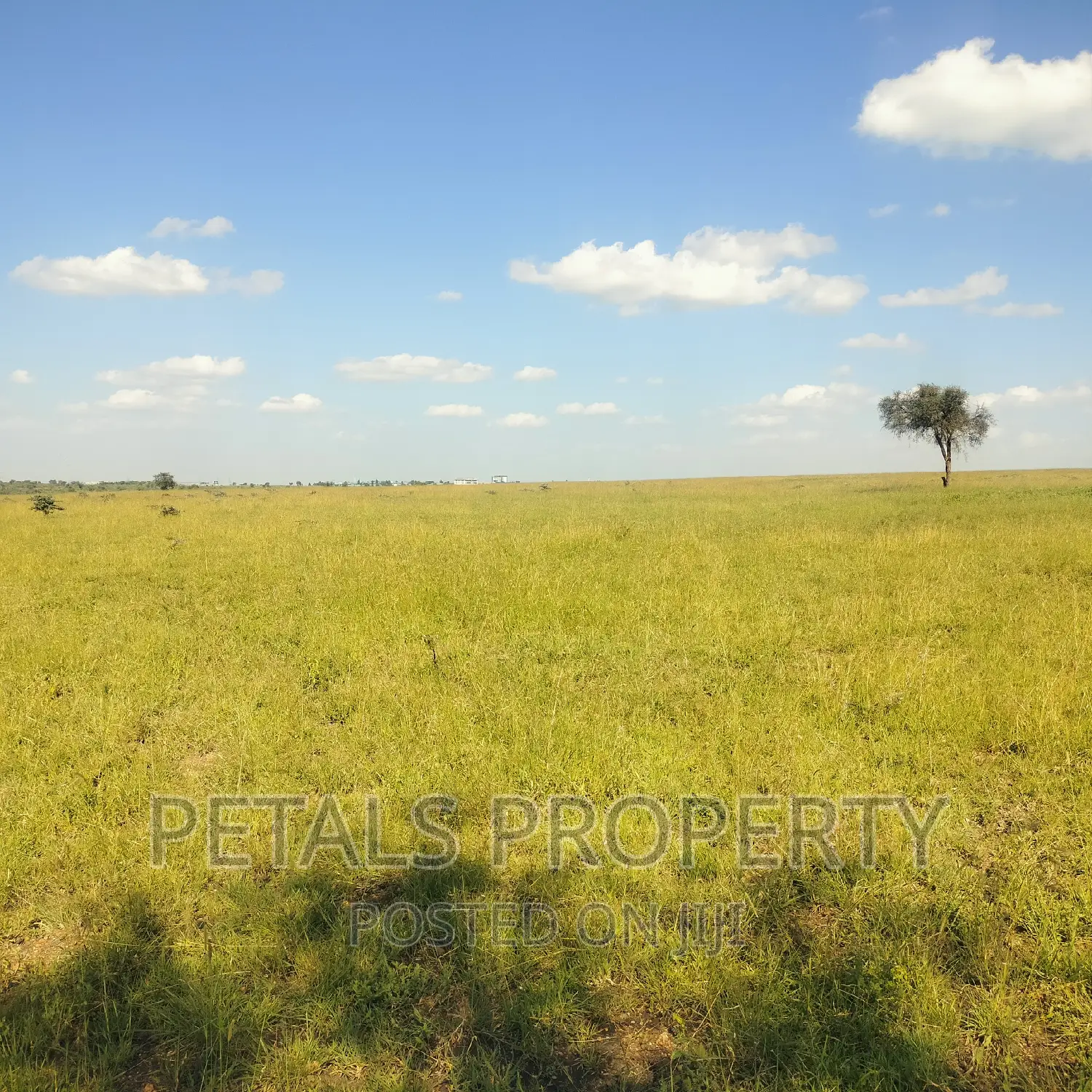 50 Acres for Sale in Kajiado
