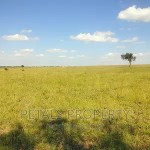 50 Acres for Sale in Kajiado