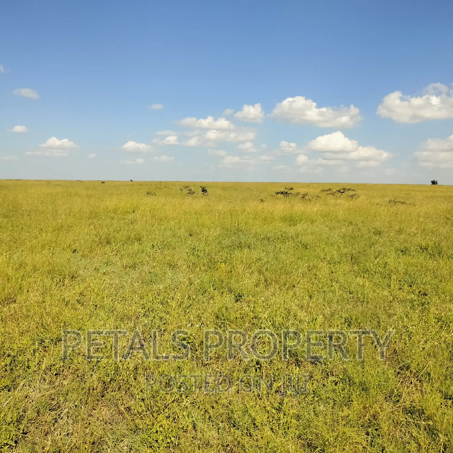 50 Acres for Sale in Kajiado