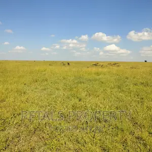 50 Acres for Sale in Kajiado