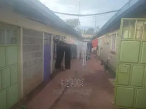 Nyeri Kangemi Bedsitters House