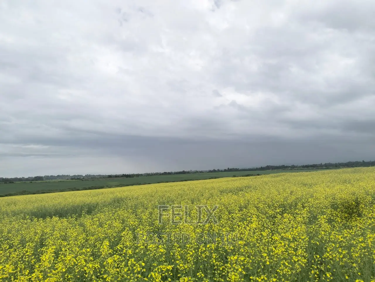 Chaka/Narumoru Kwa Jayee 6 Acres