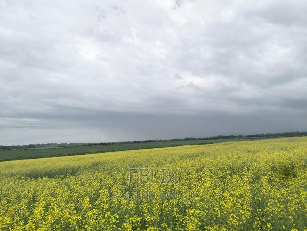 Chaka/Narumoru Kwa Jayee 6 Acres
