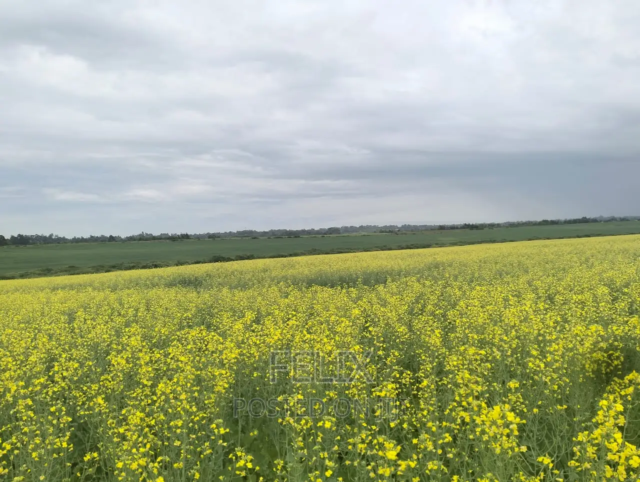 Chaka/Narumoru Kwa Jayee 6 Acres