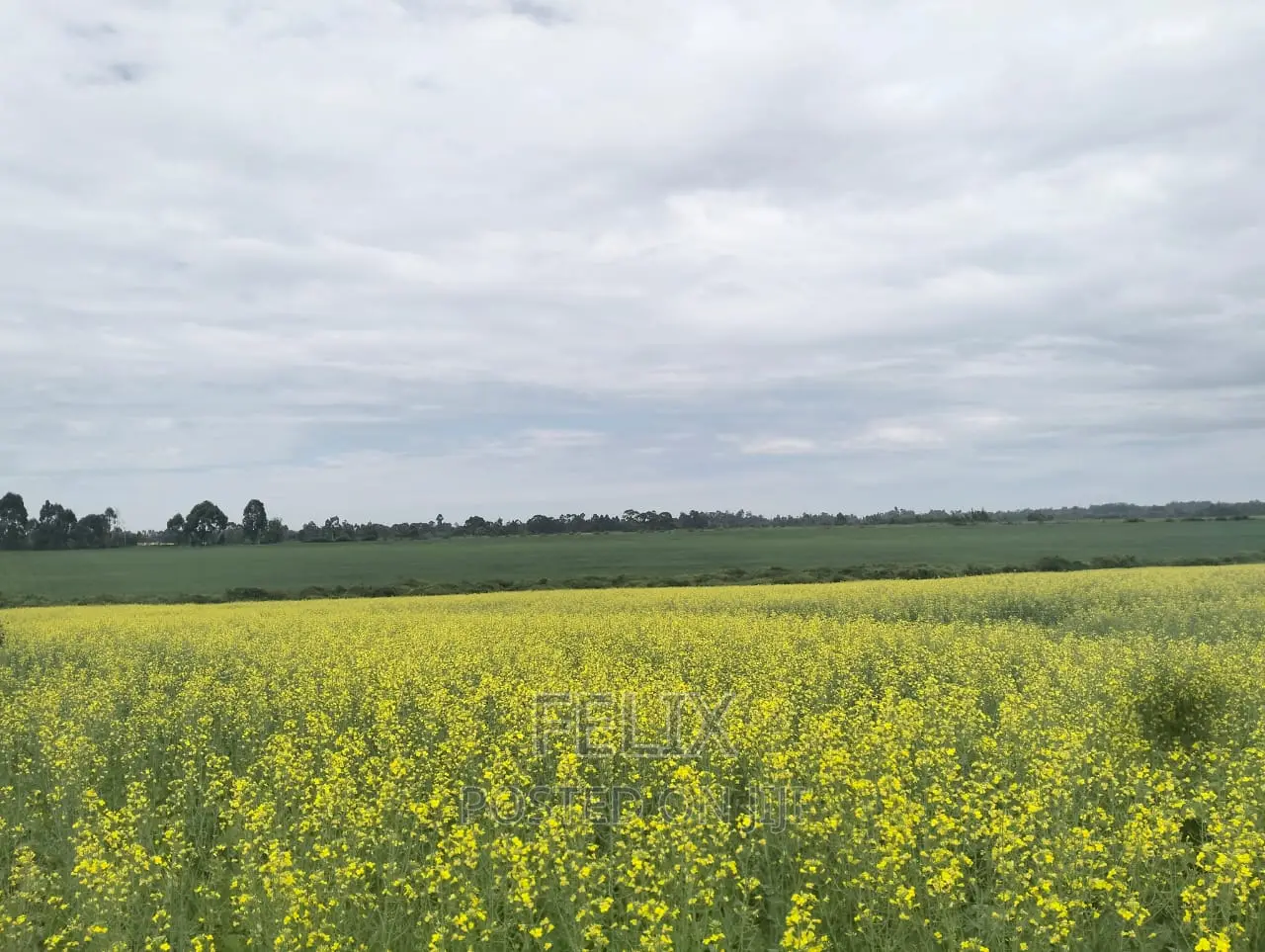 Chaka/Narumoru Kwa Jayee 6 Acres
