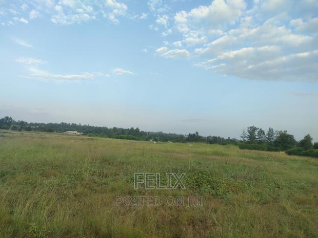 Sagana Prime Plots