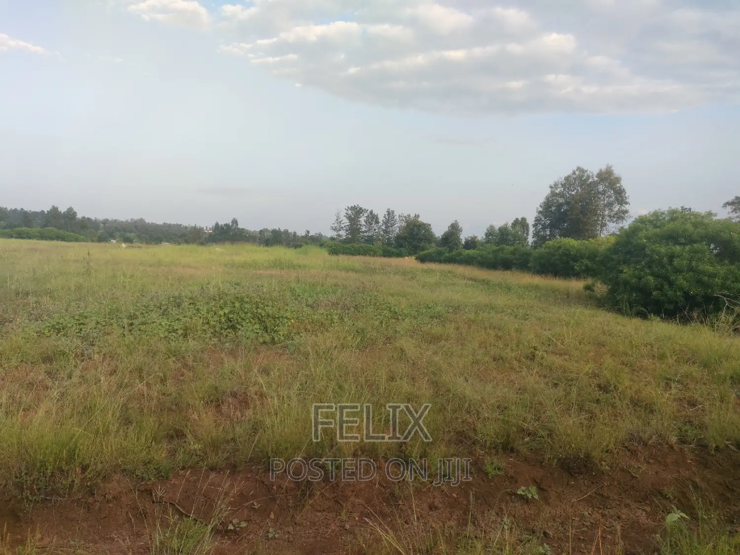 Sagana Prime Plots
