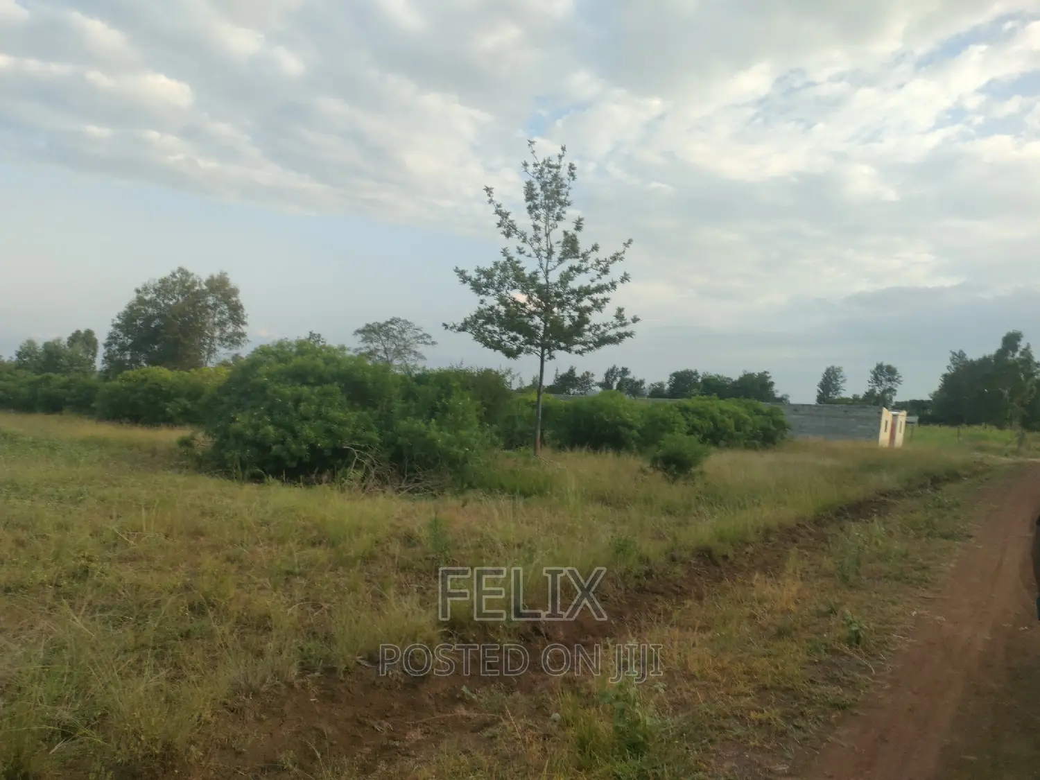 Sagana Prime Plots