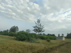 Sagana Prime Plots