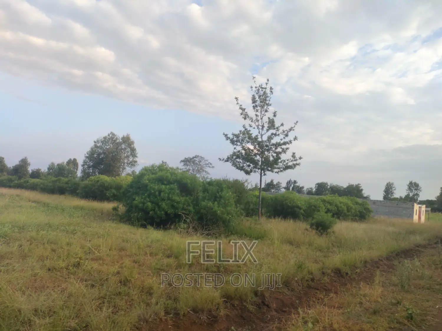Sagana Prime Plots