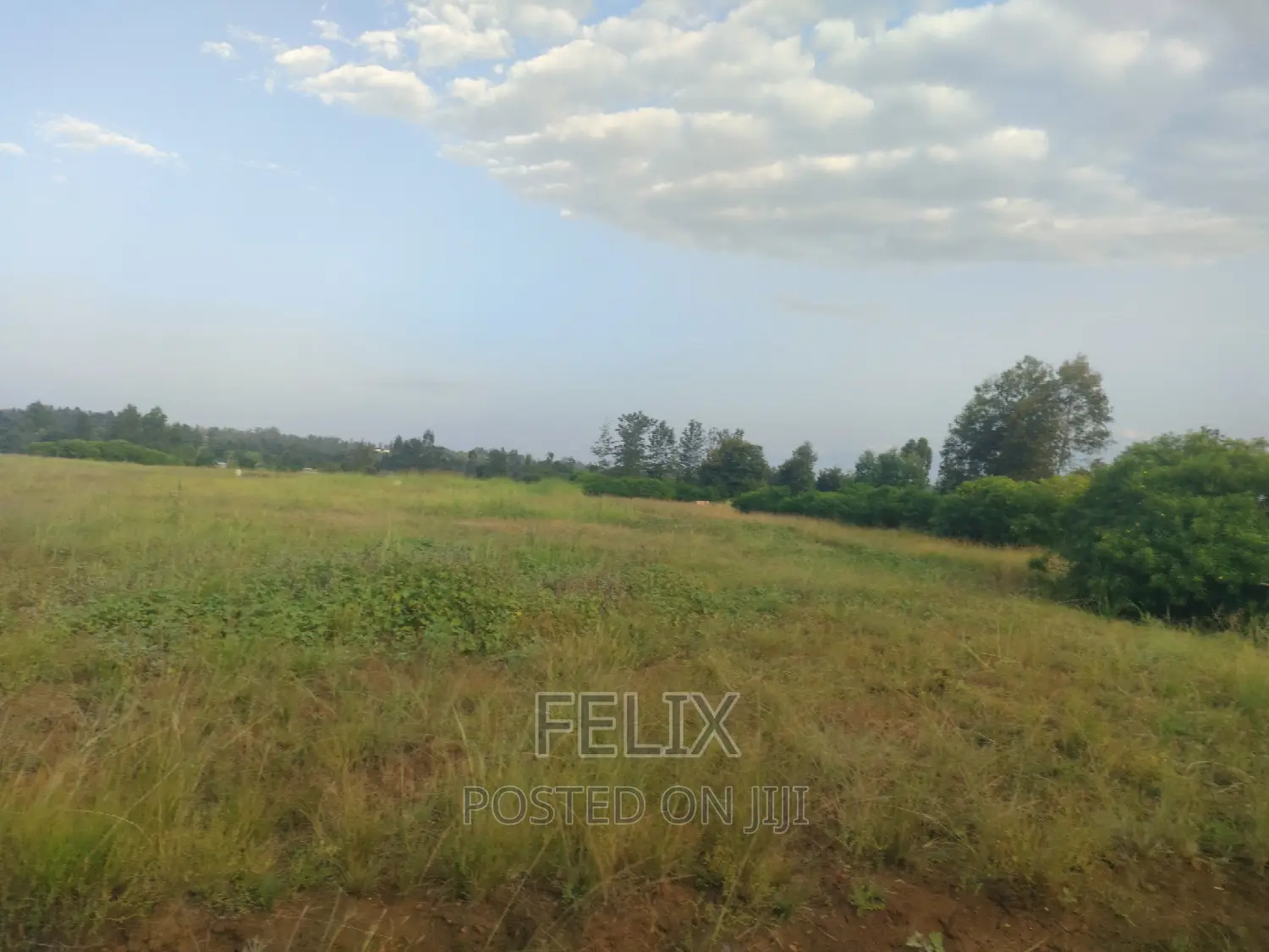 Sagana Prime Plots