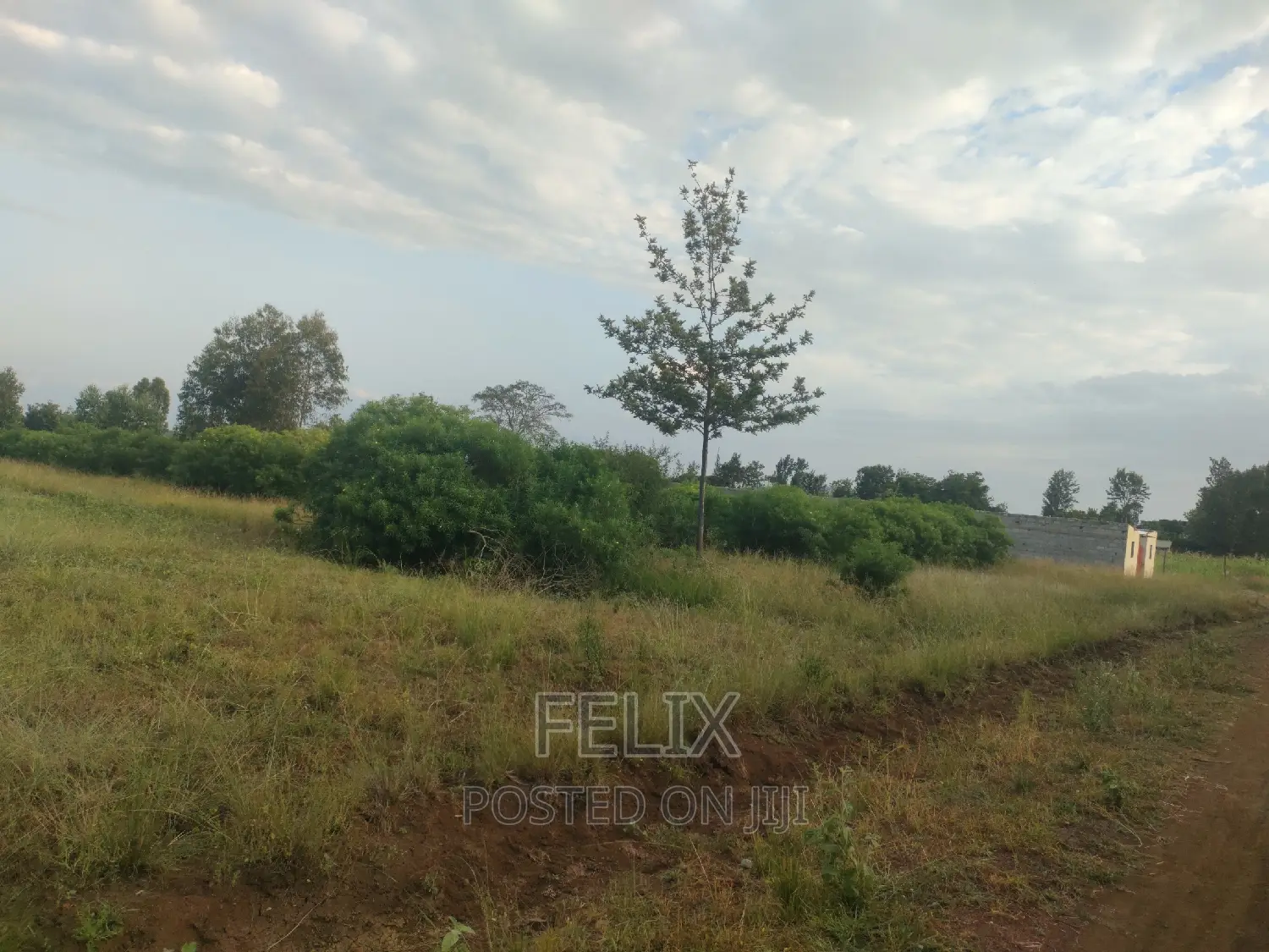 Sagana Prime Plots