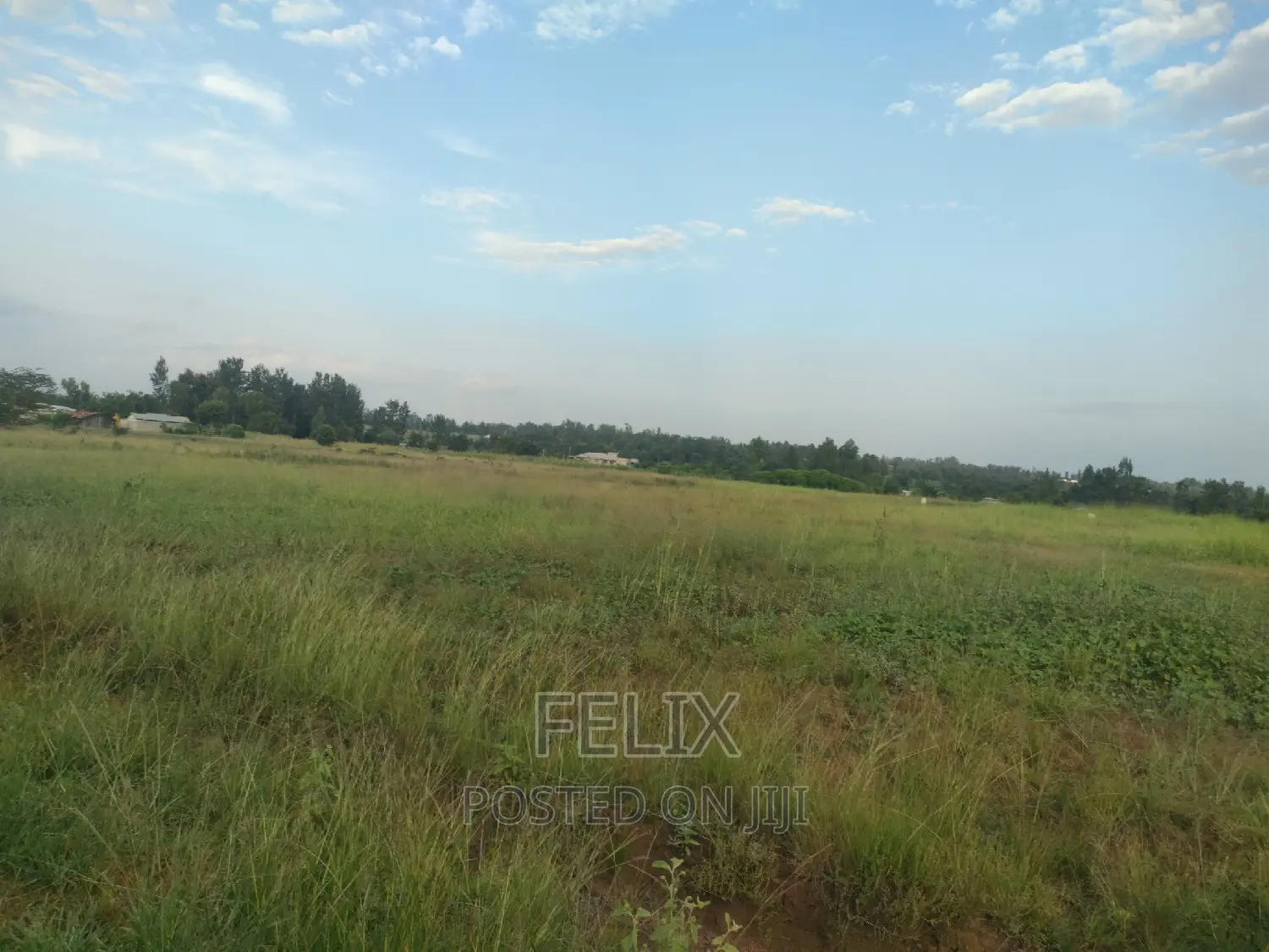 Sagana Prime Plots
